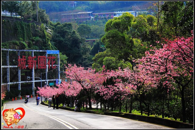 《遊記—新北烏來》花園新城&瀑布公園~2013賞櫻第二彈 - 第17張圖 《遊記—新北烏來》花園新城&瀑布公園~2013賞櫻第二彈