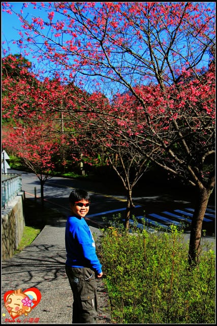 《遊記—新北烏來》花園新城&瀑布公園~2013賞櫻第二彈 - 第32張圖 《遊記—新北烏來》花園新城&瀑布公園~2013賞櫻第二彈