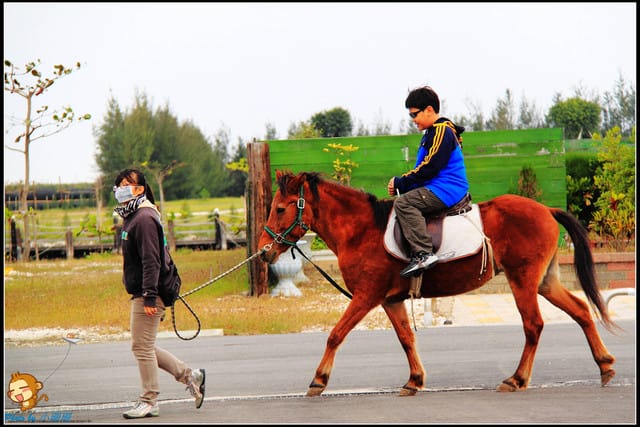 《遊記—台南》七股鹽山～歡迎來到雪白世界！