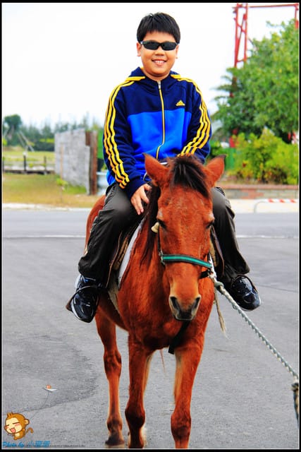 《遊記—台南》七股鹽山～歡迎來到雪白世界！
