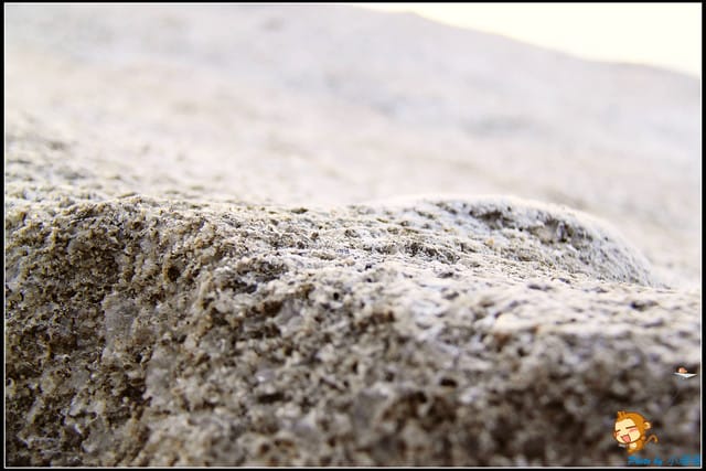 《遊記—台南》七股鹽山～歡迎來到雪白世界！