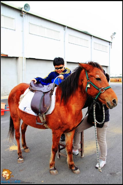 《遊記—台南》七股鹽山～歡迎來到雪白世界！