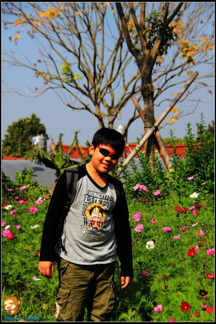 《遊記—彰化》菁芳園休閒農場～冬季限定落雨松！