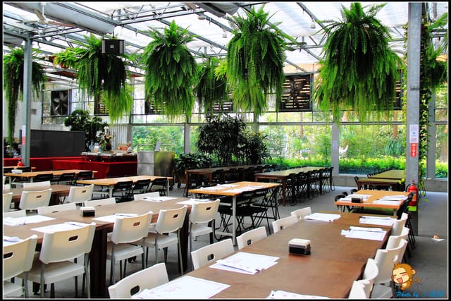 《遊記—彰化》菁芳園休閒農場～冬季限定落雨松！