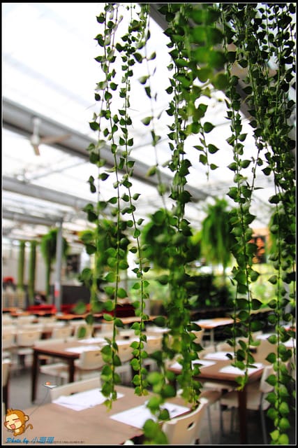 《遊記—彰化》菁芳園休閒農場～冬季限定落雨松！