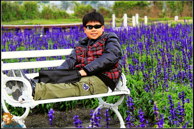 《遊記—台中》中社觀光花市～鬱金香花季(2/5花況)