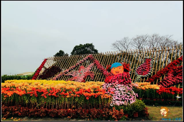 《遊記—台中》中社觀光花市～鬱金香花季(2/5花況)