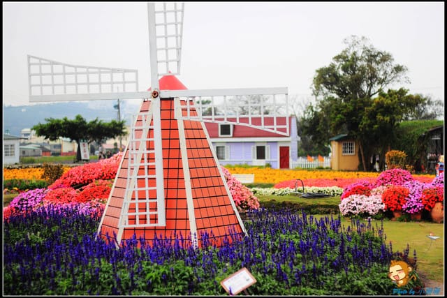 《遊記—台中》中社觀光花市～鬱金香花季(2/5花況)