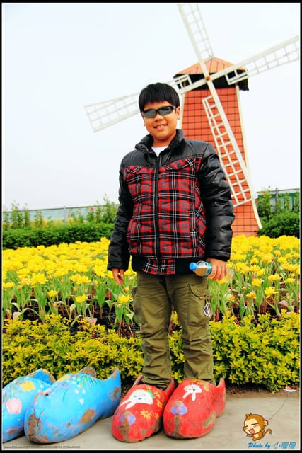 《遊記—台中》中社觀光花市～鬱金香花季(2/5花況)