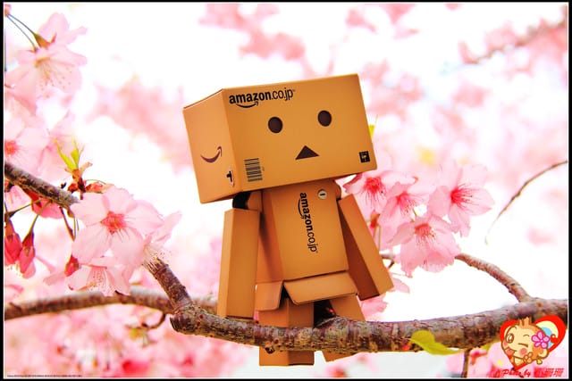 《遊記—桃園》拉拉山恩愛農場～千島櫻盛開中(2/26花況)