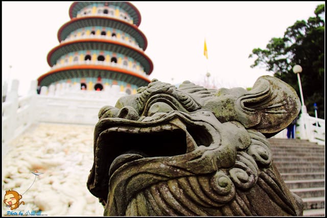 《遊記—新北淡水》天元宮賞櫻去(3/28花況)