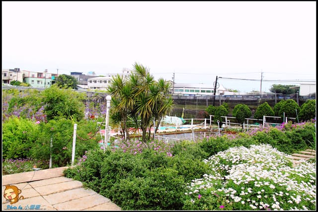 《遊記—新北淡水》紫藤咖啡廳～遇見紫色浪漫！(3/28花況)