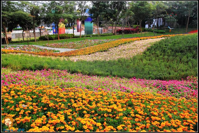 《遊記—彰化芬園》就是愛荔枝樂園～見證浪漫愛情的園地