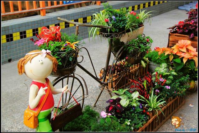 《遊記—彰化芬園》就是愛荔枝樂園～見證浪漫愛情的園地