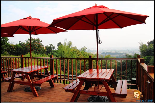 《遊記—彰化芬園》就是愛荔枝樂園～見證浪漫愛情的園地