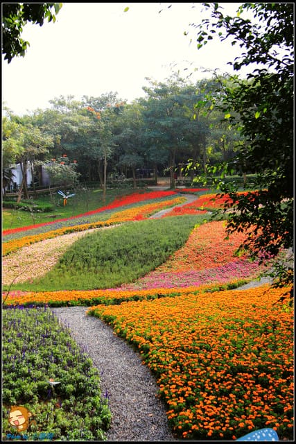 《遊記—彰化芬園》就是愛荔枝樂園～見證浪漫愛情的園地