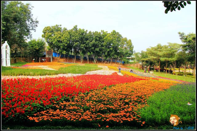 《遊記—彰化芬園》就是愛荔枝樂園～見證浪漫愛情的園地