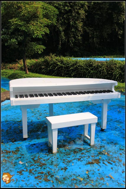 《遊記—新北淡水》大屯花卉農場～夢幻水上教堂