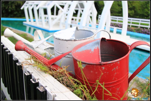 《遊記—新北淡水》大屯花卉農場～夢幻水上教堂