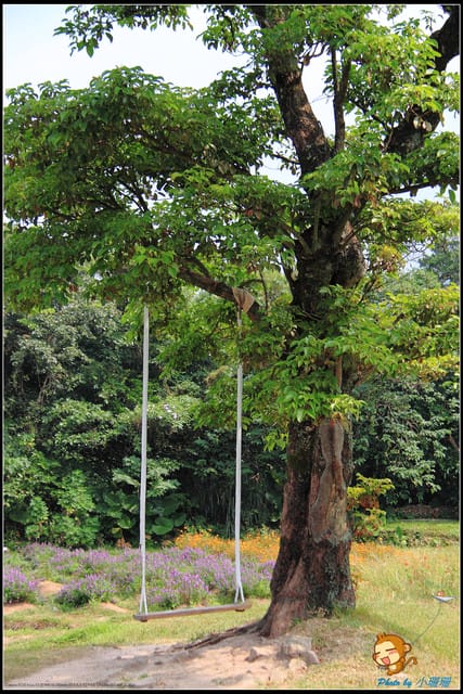 《遊記—新北淡水》大屯花卉農場～夢幻水上教堂