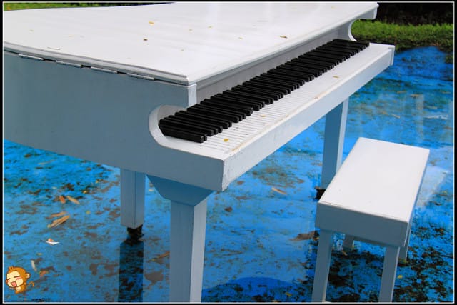 《遊記—新北淡水》大屯花卉農場～夢幻水上教堂