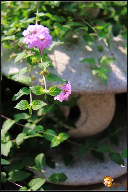 《遊記—新北淡水》一滴水紀念館