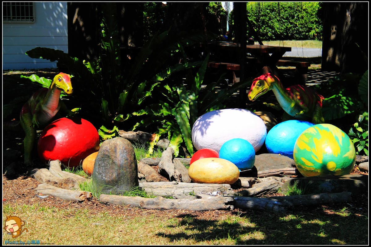 DPP_24_nEO_IMG DPP_24_nEO_IMG