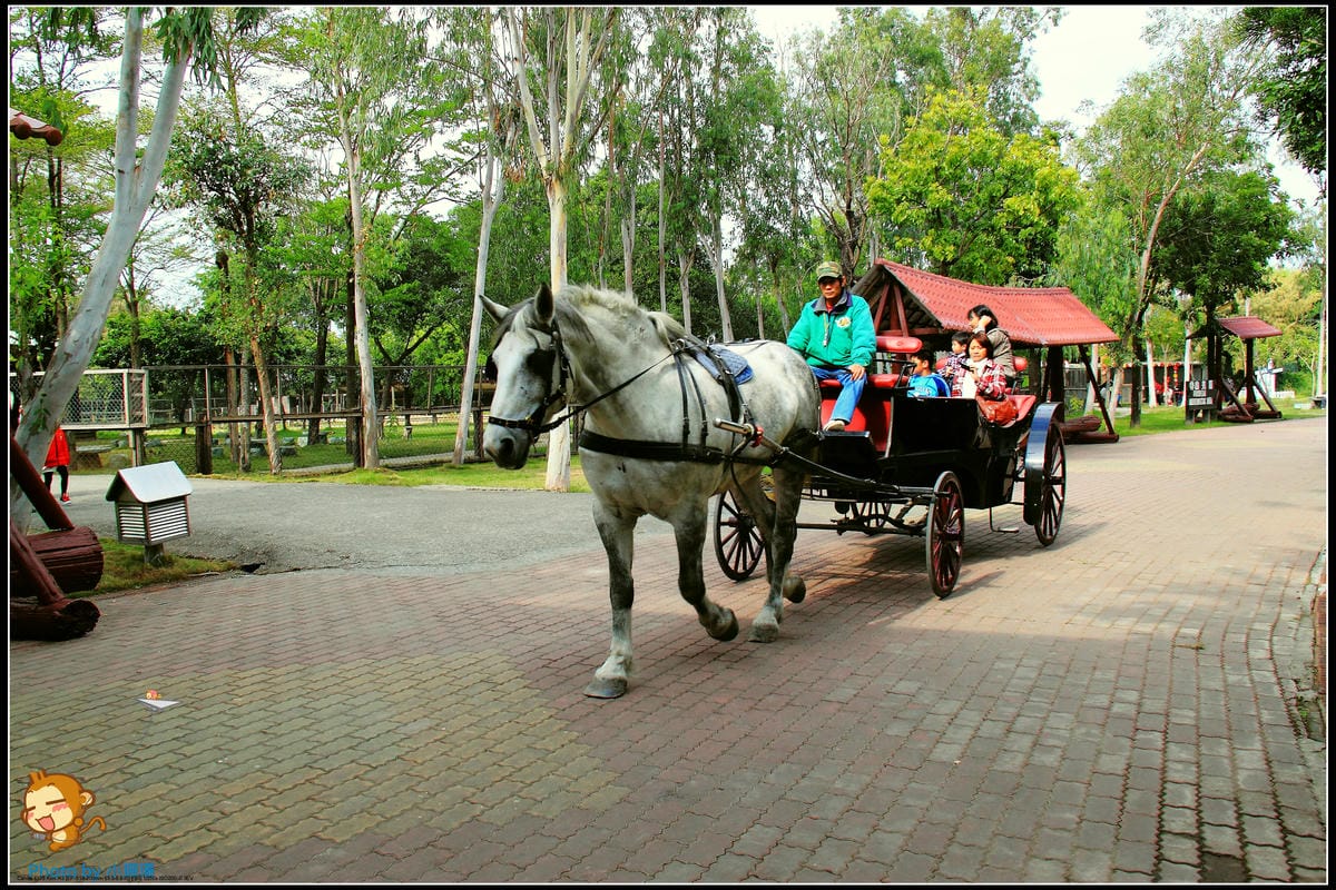 DPP_27_nEO_IMG DPP_27_nEO_IMG