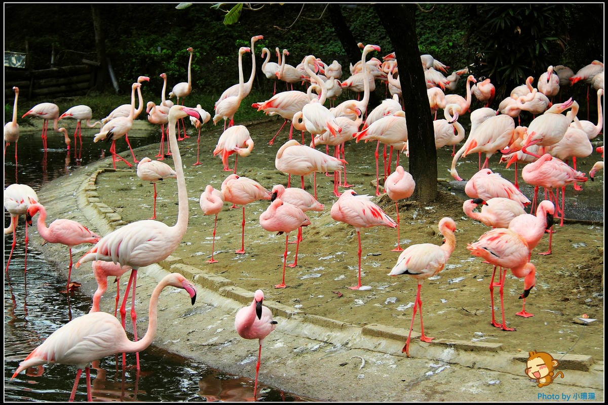 DPP_5_nEO_IMG DPP_5_nEO_IMG