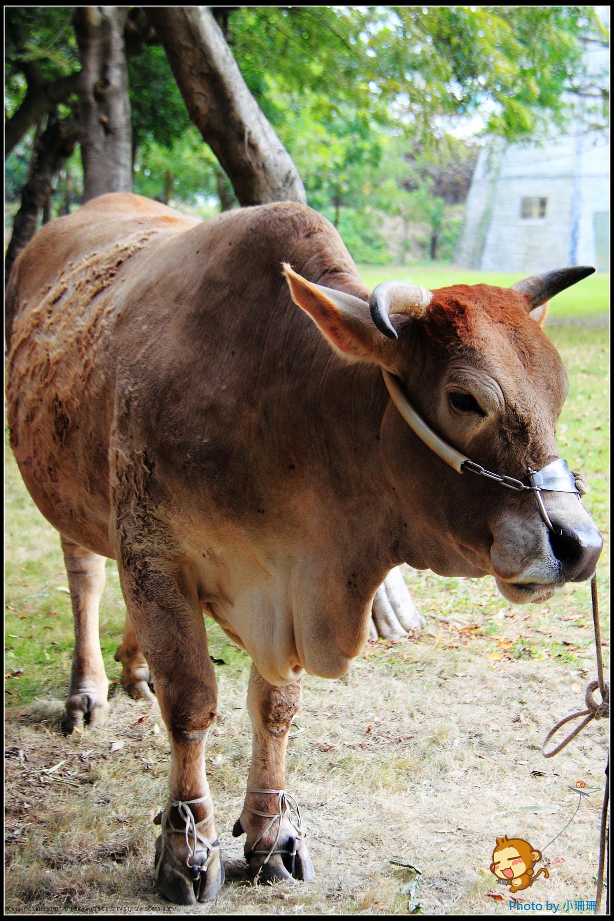 DPP_15_nEO_IMG DPP_15_nEO_IMG