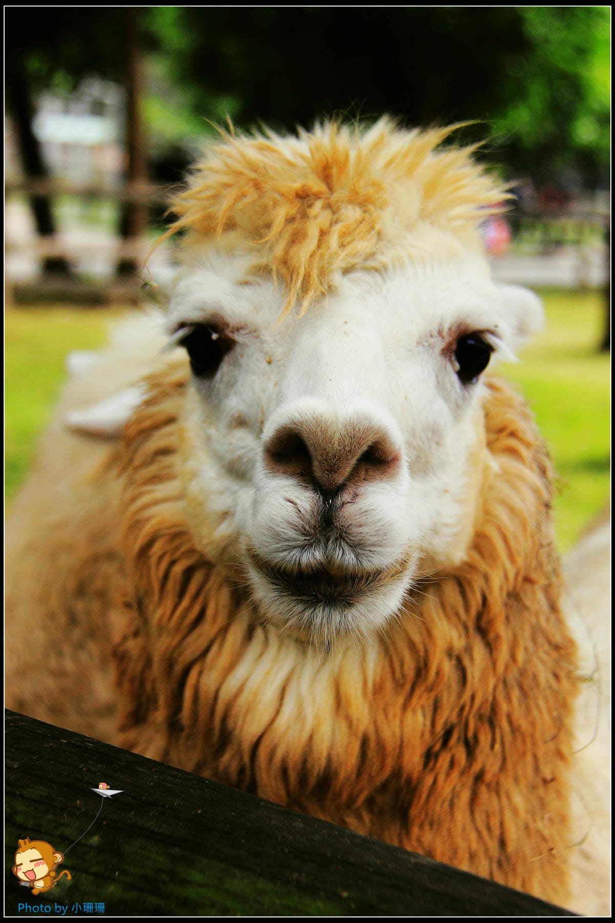 DPP_24_nEO_IMG DPP_24_nEO_IMG