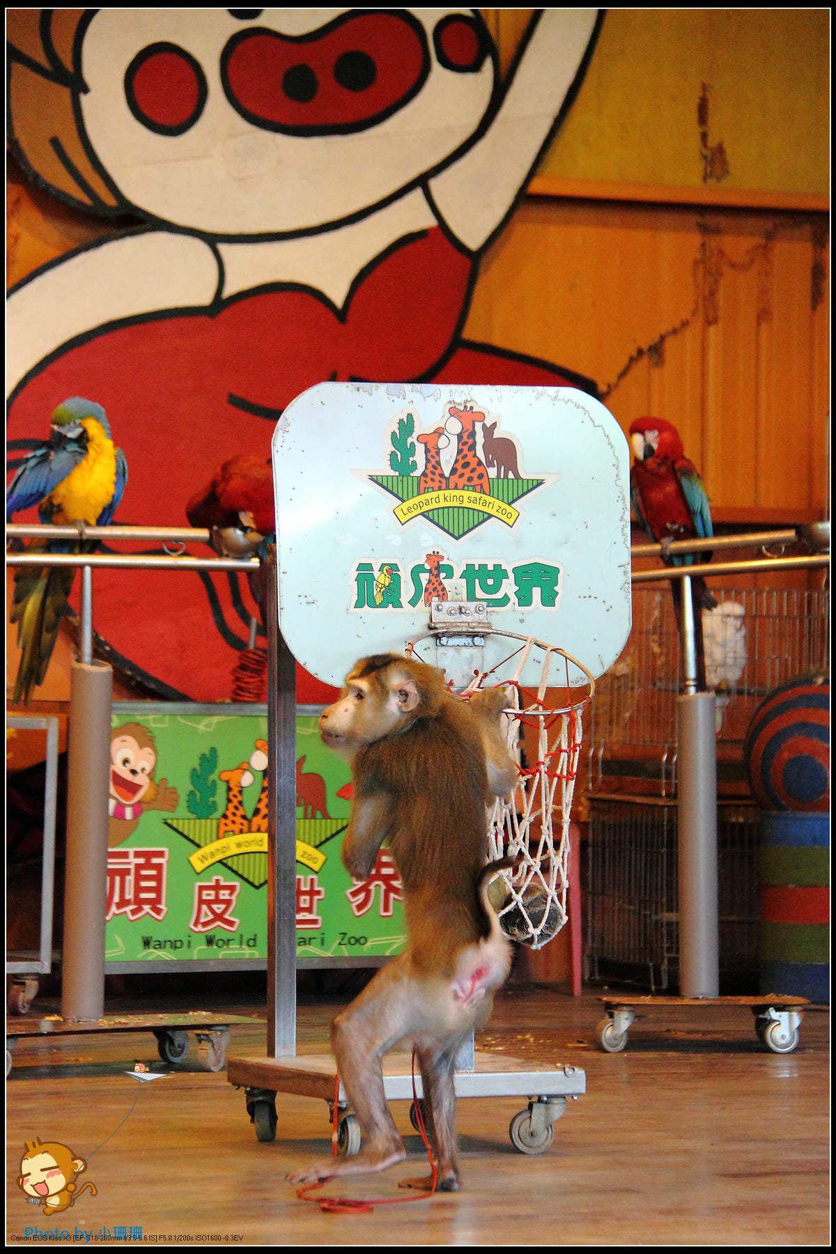 DPP_29_nEO_IMG DPP_29_nEO_IMG