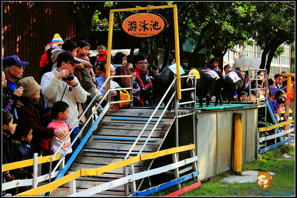 DPP_38_nEO_IMG DPP_38_nEO_IMG