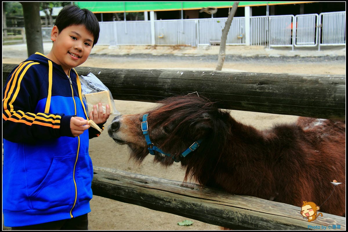 DPP_17_nEO_IMG DPP_17_nEO_IMG