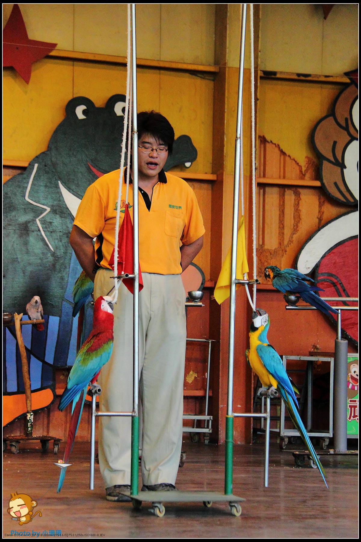 DPP_31_nEO_IMG DPP_31_nEO_IMG