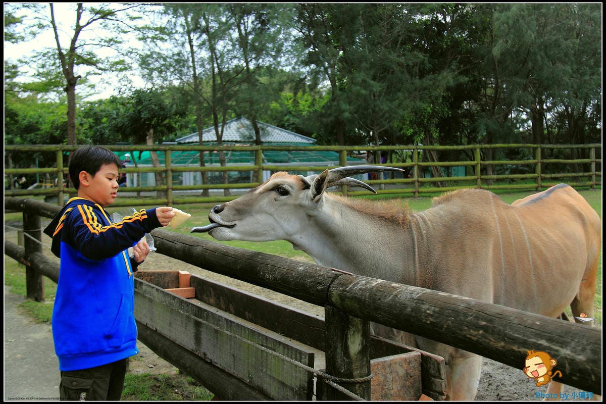 DPP_18_nEO_IMG DPP_18_nEO_IMG