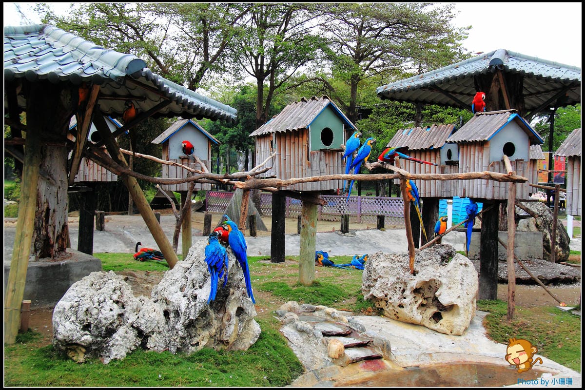 DPP_2_nEO_IMG DPP_2_nEO_IMG