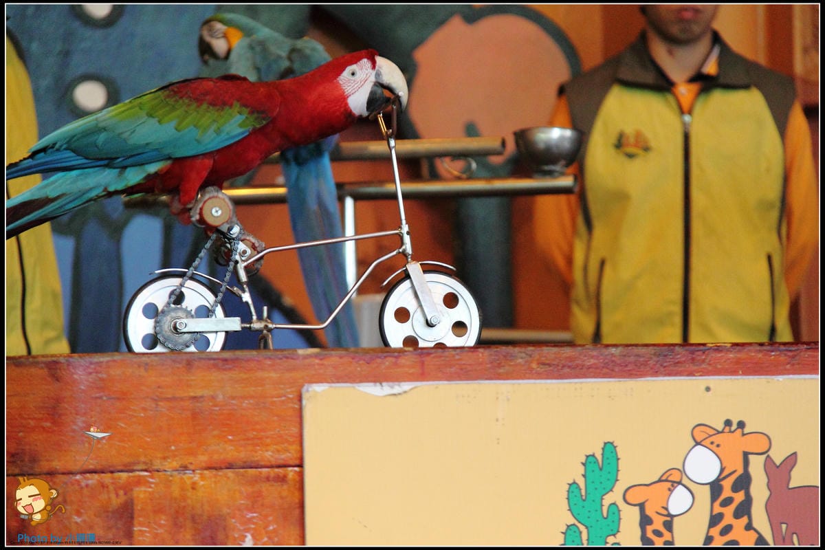 DPP_32_nEO_IMG DPP_32_nEO_IMG