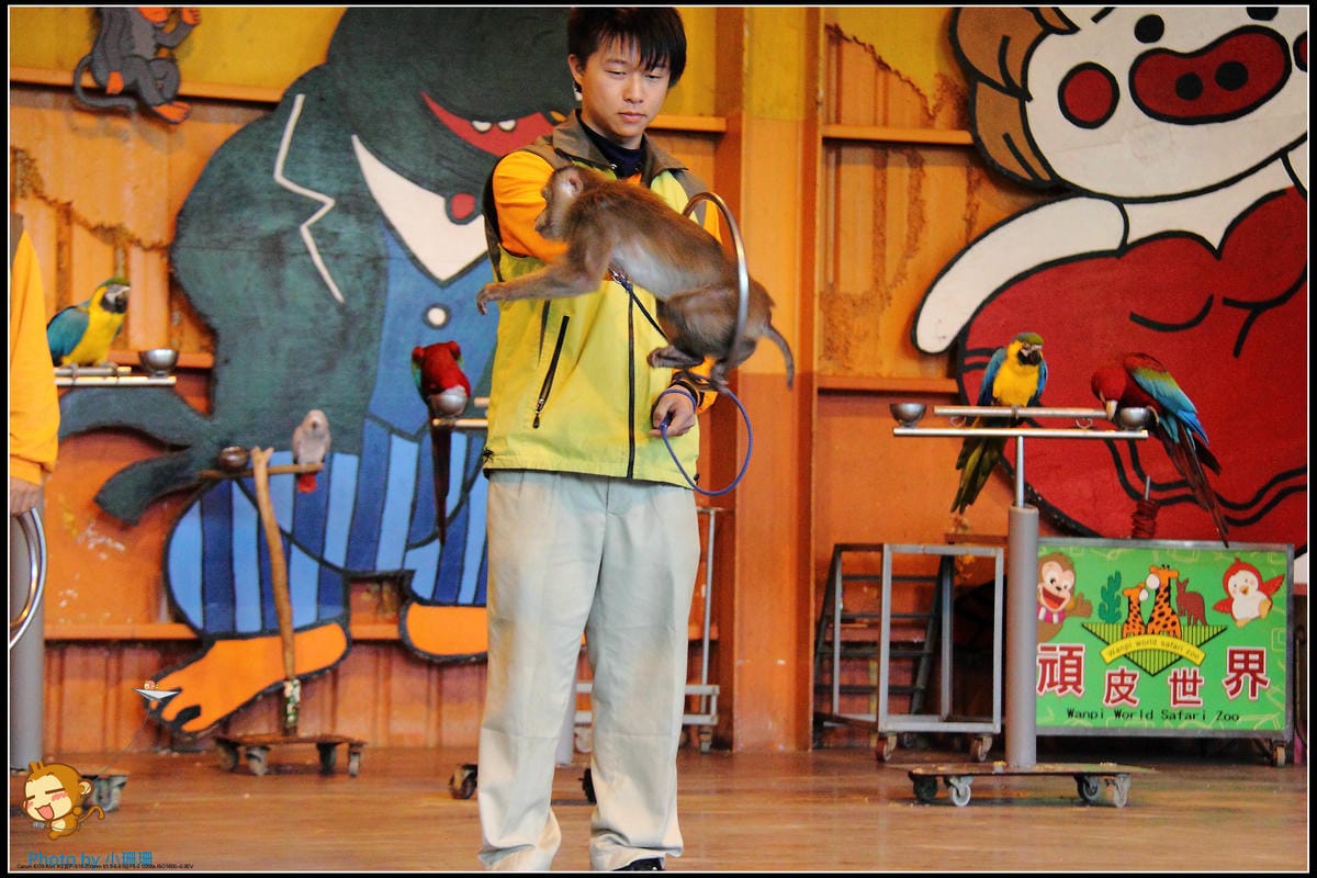 DPP_28_nEO_IMG DPP_28_nEO_IMG