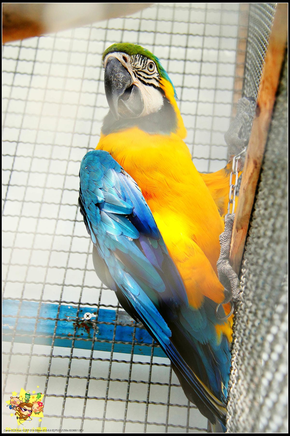 DPP_23_nEO_IMG DPP_23_nEO_IMG