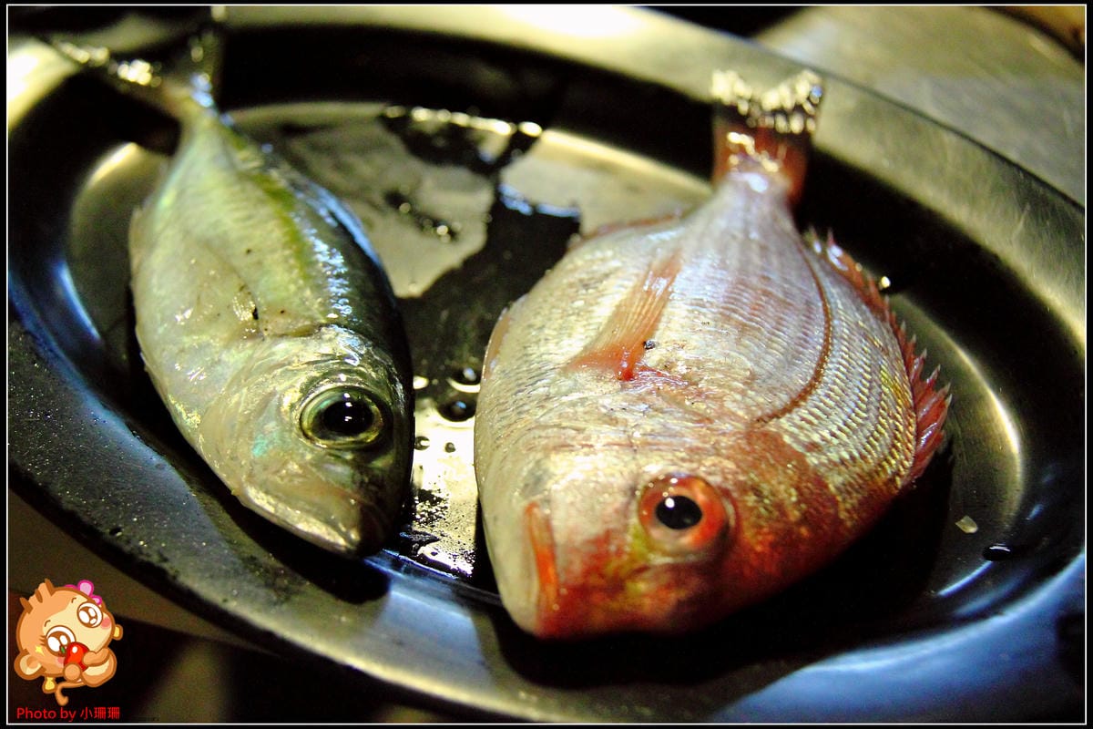 DPP_12_nEO_IMG DPP_12_nEO_IMG