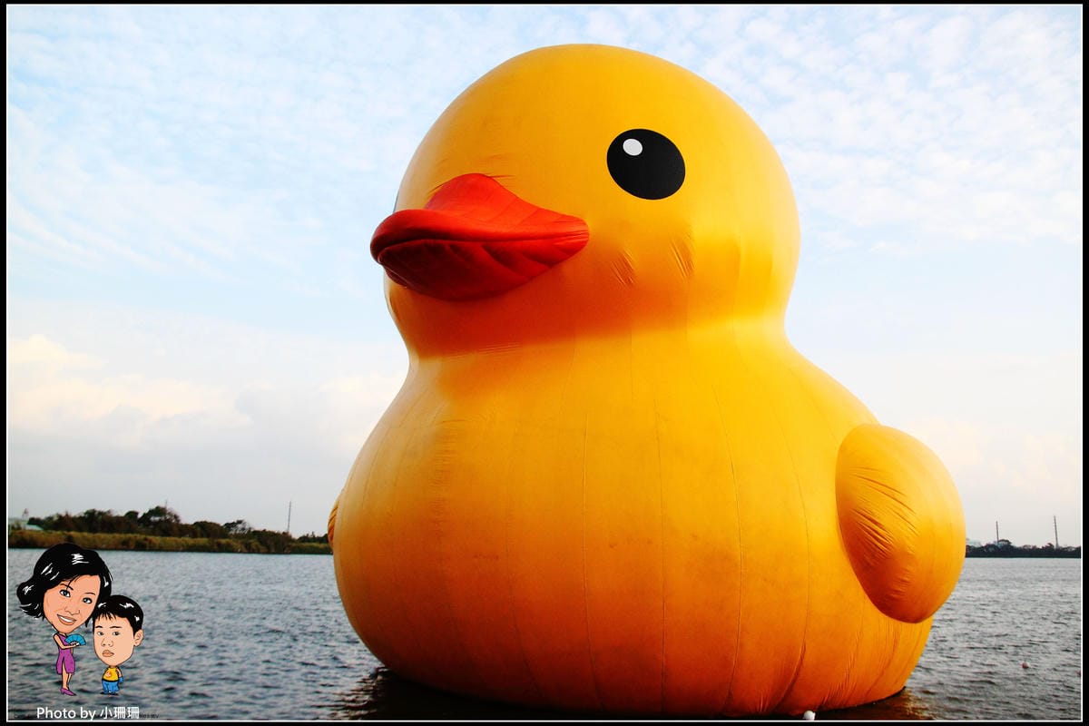 DPP_16_nEO_IMG DPP_16_nEO_IMG