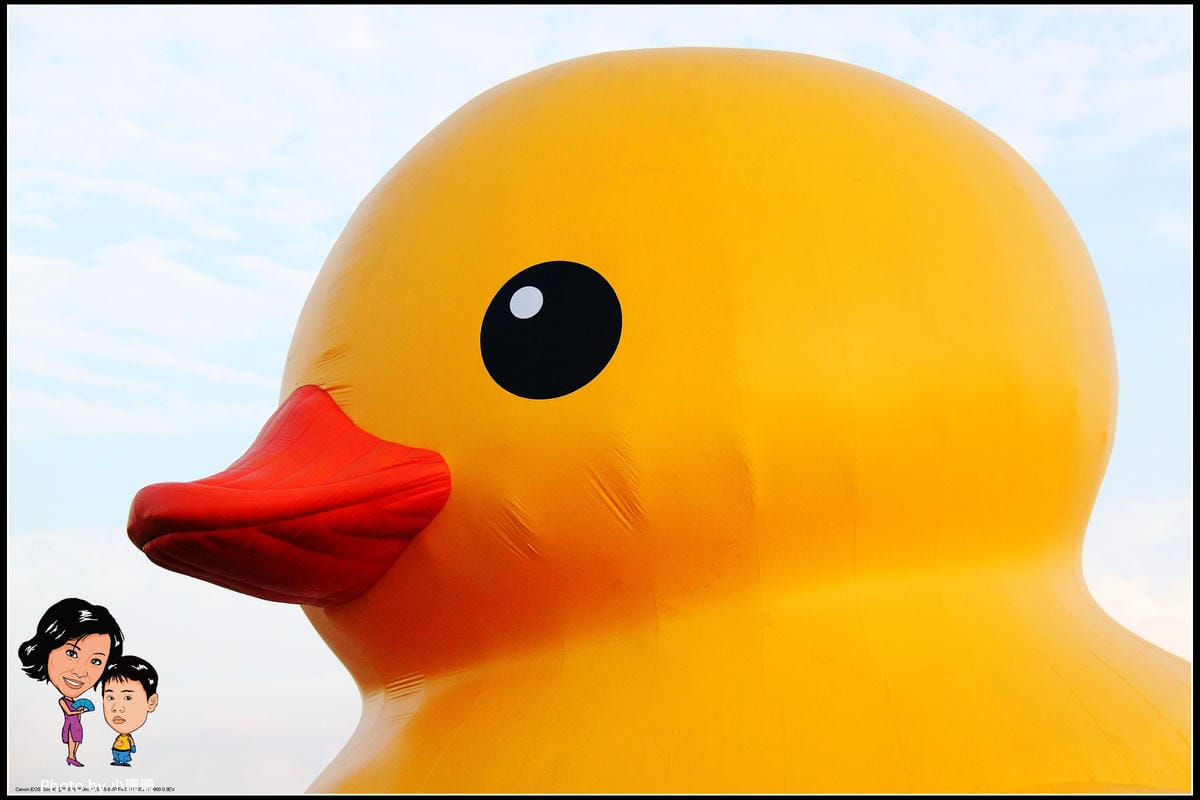 DPP_12_nEO_IMG DPP_12_nEO_IMG