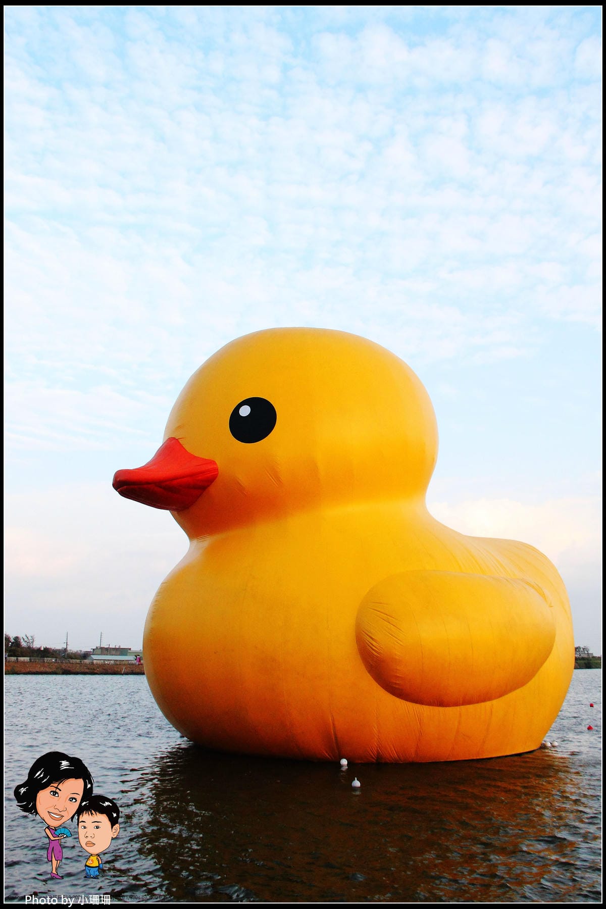 DPP_11_nEO_IMG DPP_11_nEO_IMG