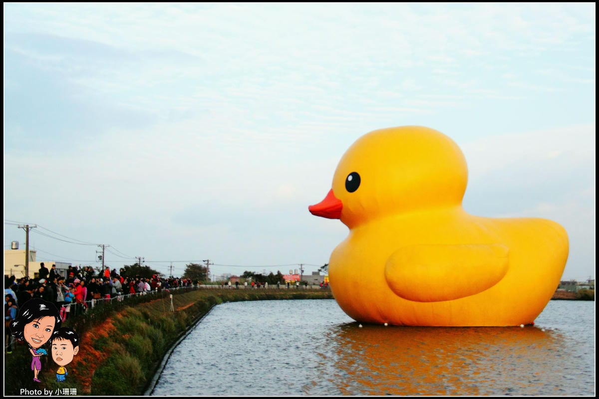 DPP_8_nEO_IMG DPP_8_nEO_IMG