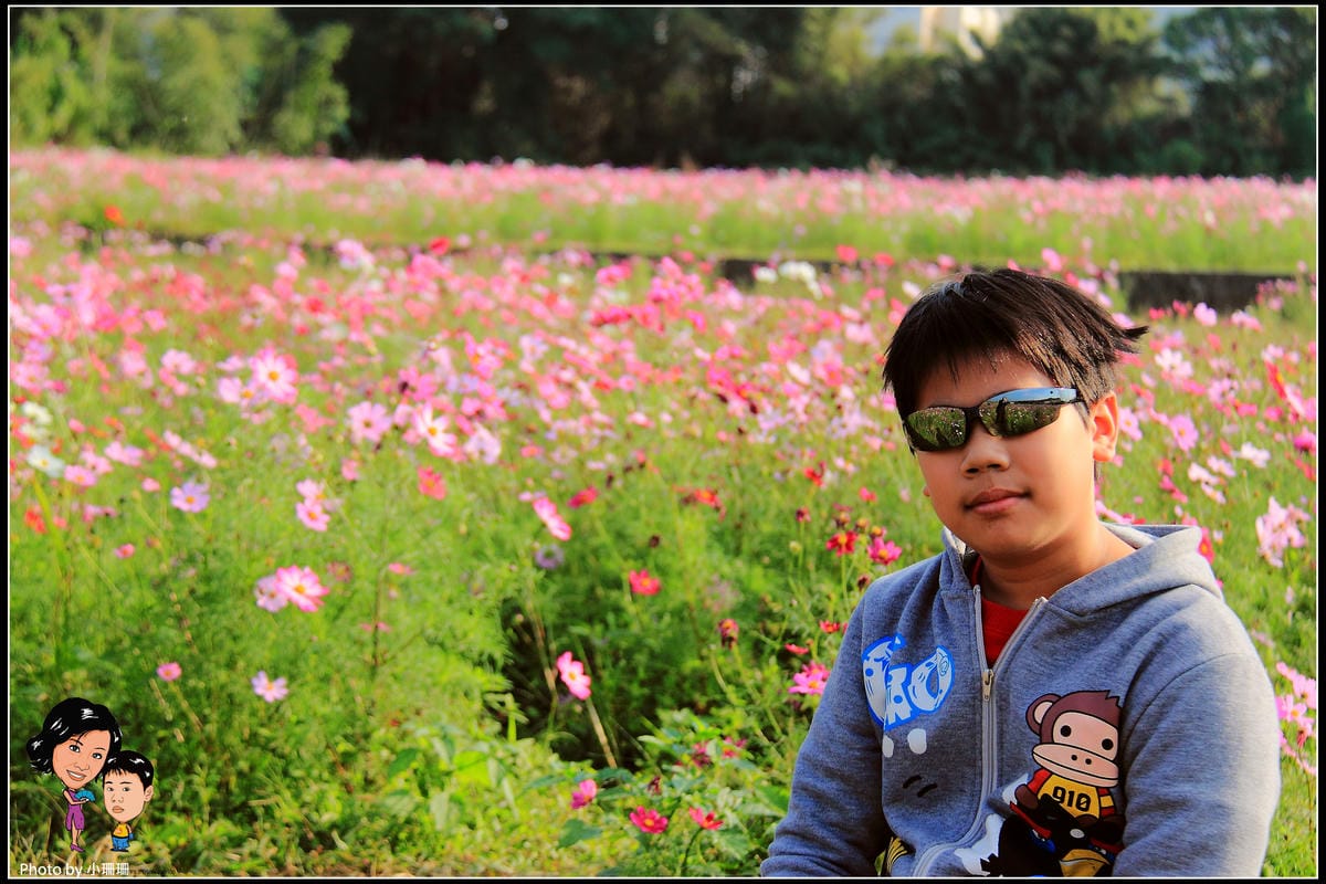 《遊記—桃園》蘆竹幸福花海祭