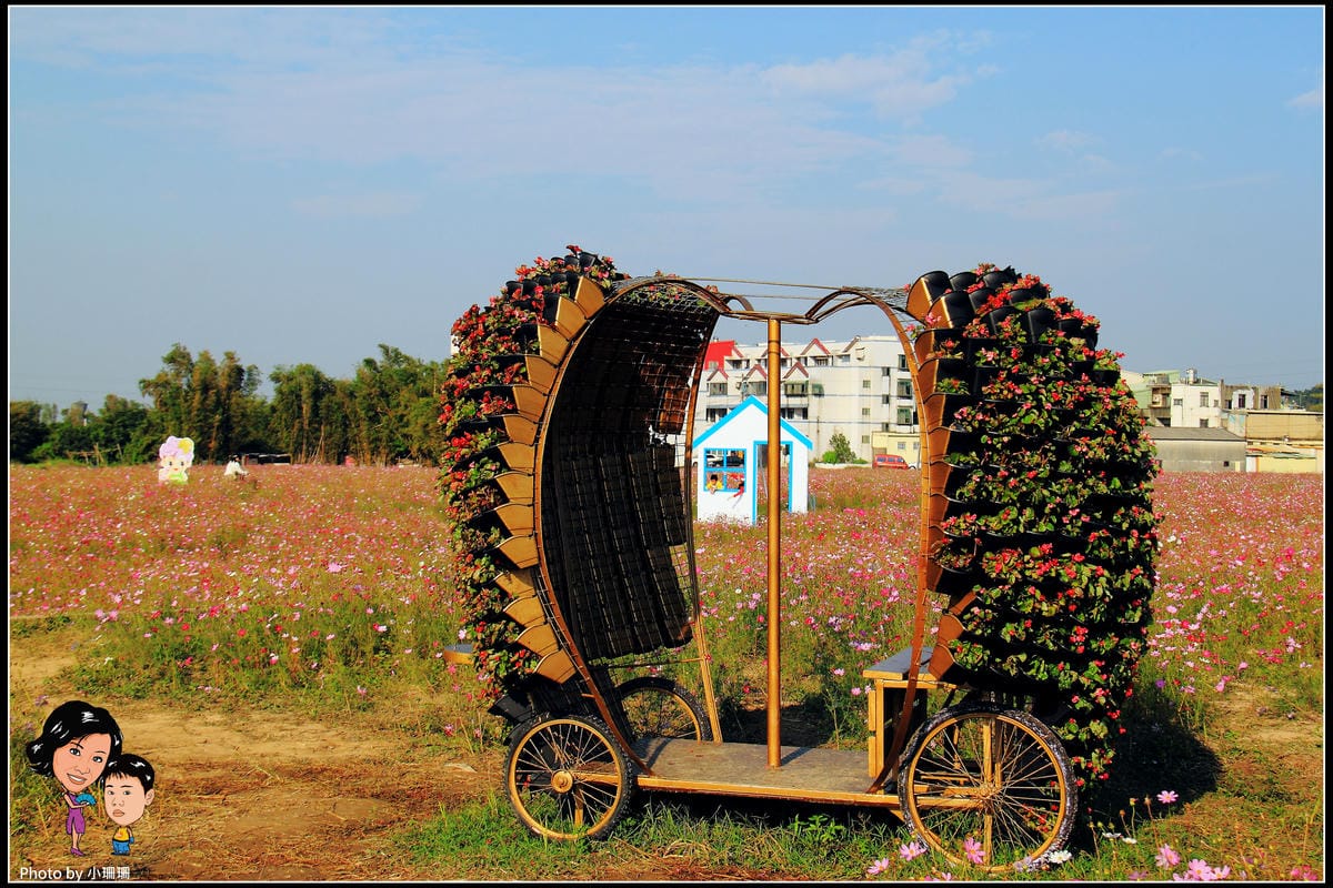 《遊記—桃園》蘆竹幸福花海祭