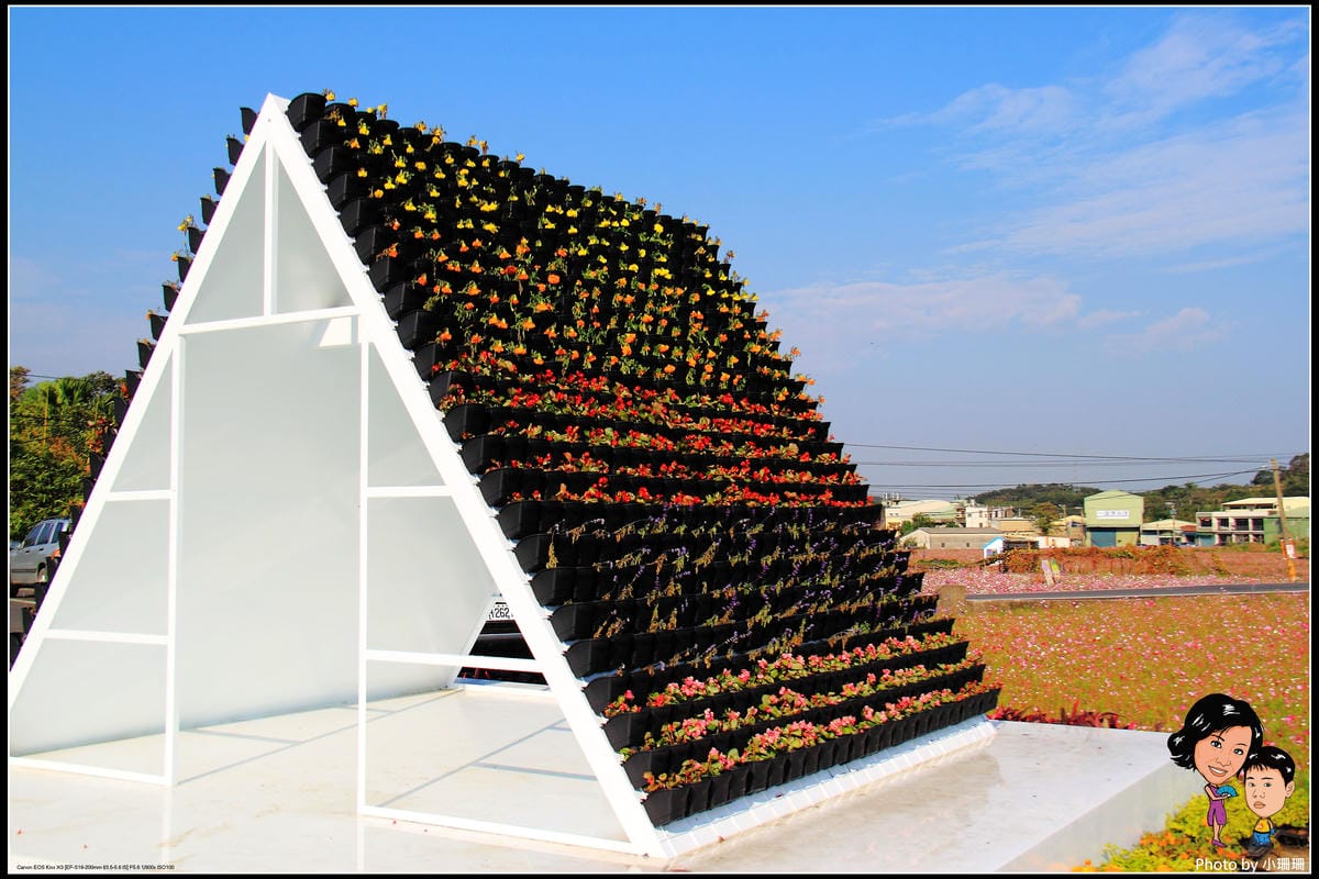 《遊記—桃園》蘆竹幸福花海祭