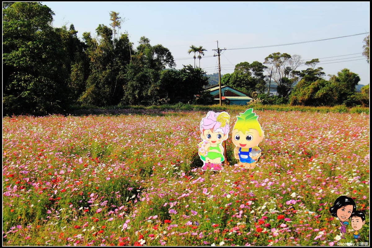 《遊記—桃園》蘆竹幸福花海祭