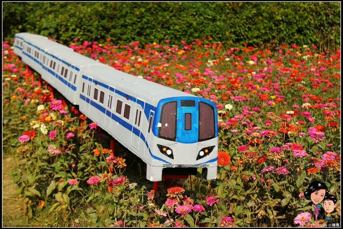 《遊記—桃園》蘆竹幸福花海祭